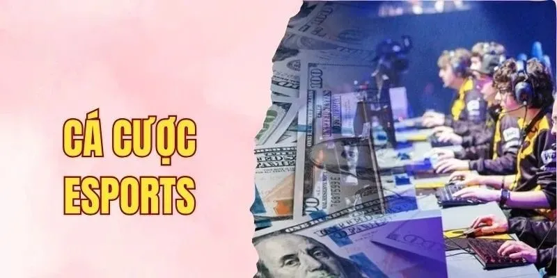 cá cược esportscá